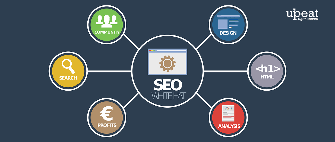 أفضل شركة seo في مصر