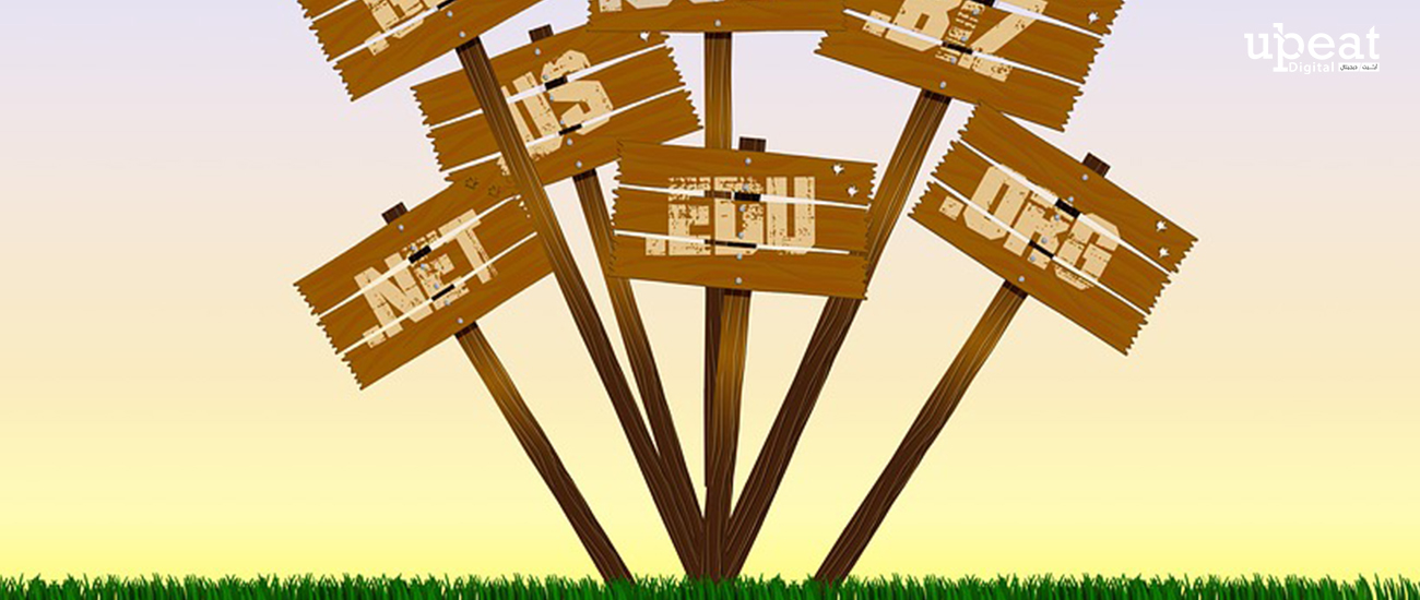 تصميم و تطوير المواقع