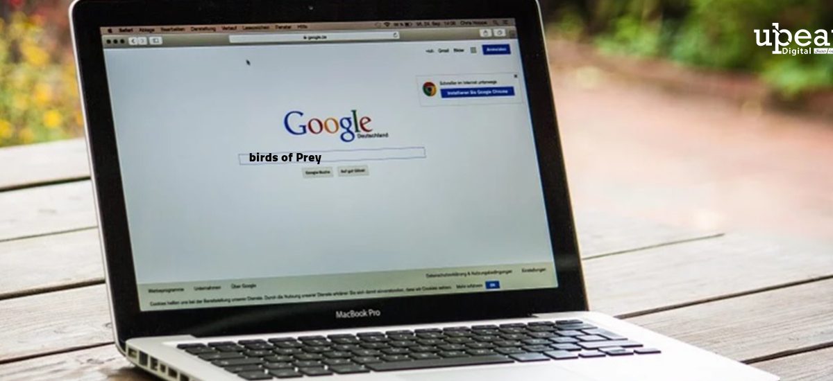 خسائر بسبب السيو تبلغ 20 مليون دولار